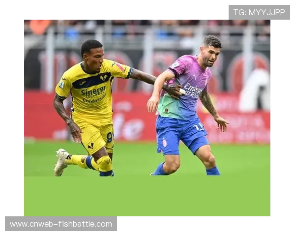 意甲主裁判Fabbri执法米兰对阵维罗纳比赛