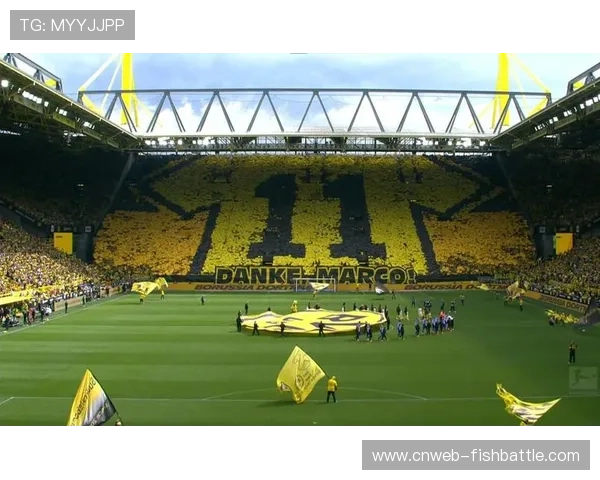 摩纳哥球迷展示巨型TIFO，致敬南非世界杯传奇