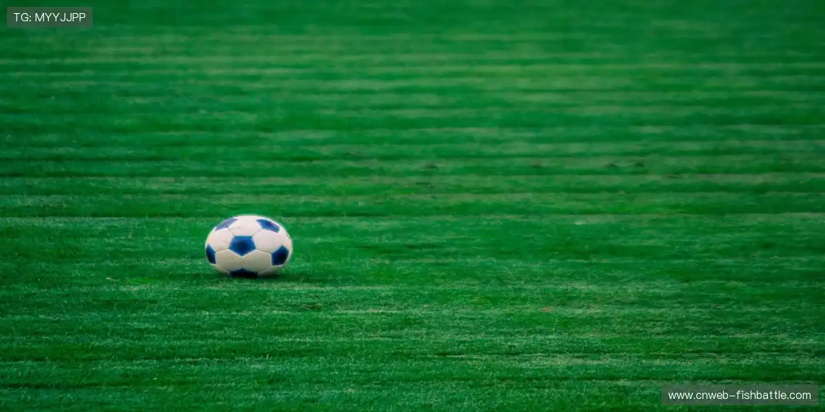 🏟️粉丝浪潮与球员奔跑交织成赛场最美画面！⚽